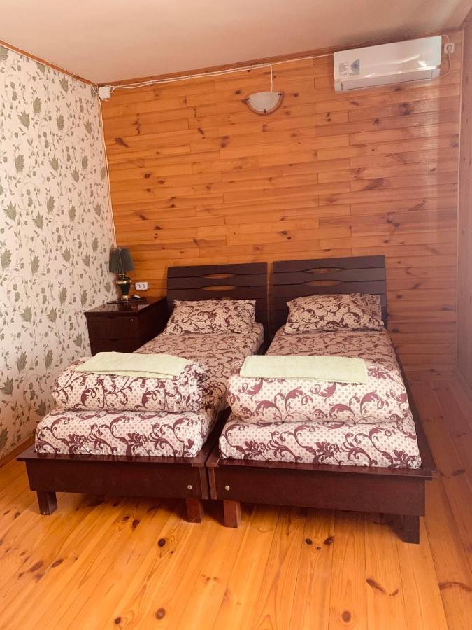 Гостевой Дом "Дача Салтов" Staryy Saltiv מראה חיצוני תמונה